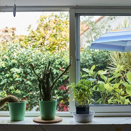 ホステル Ljmonade *