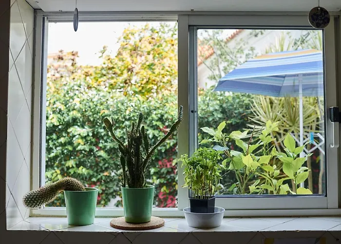 Auberge de jeunesse Ljmonade *