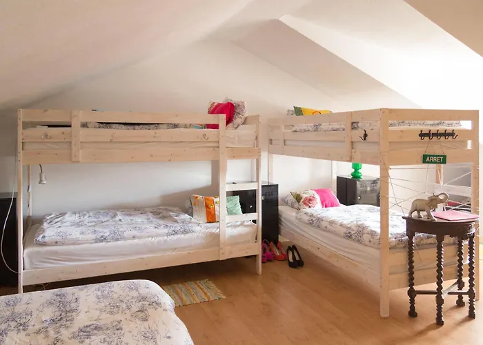 Auberge de jeunesse Ljmonade *